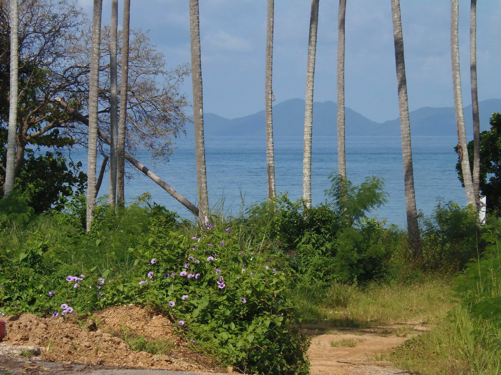 Elephants End Guesthouse Krabi Ao Nang Exteriér fotografie